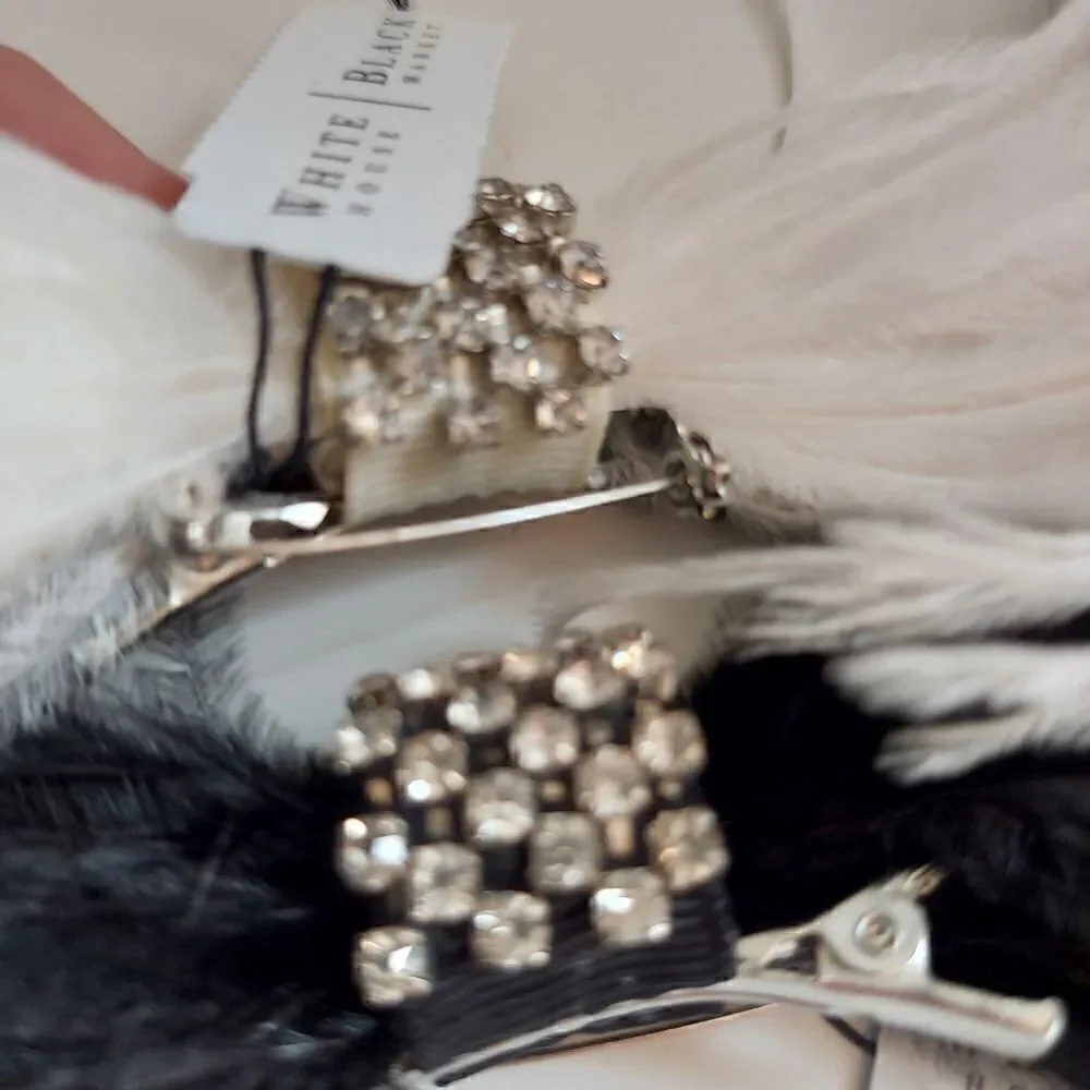 Set of 5 Feather & Rhinestone Hair &  Broches